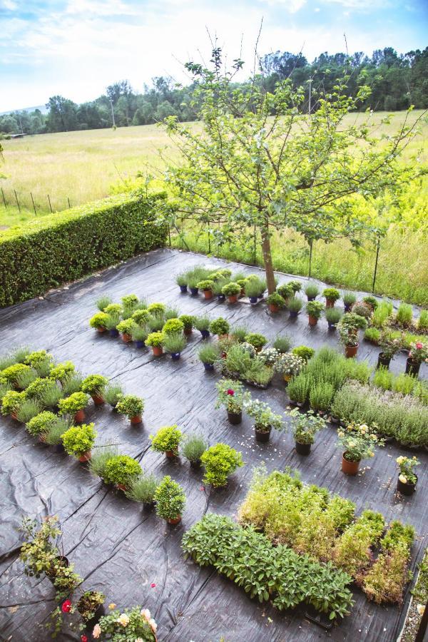 Agriturismo Familiare I Giardini Del Lago 바레세 외부 사진